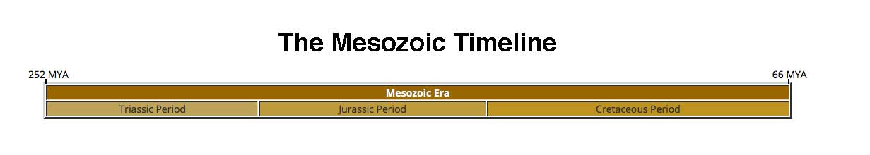 The Mesozoic Timeline