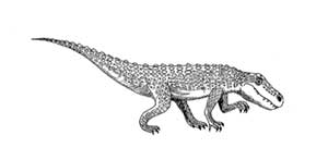 phytosaur drawing