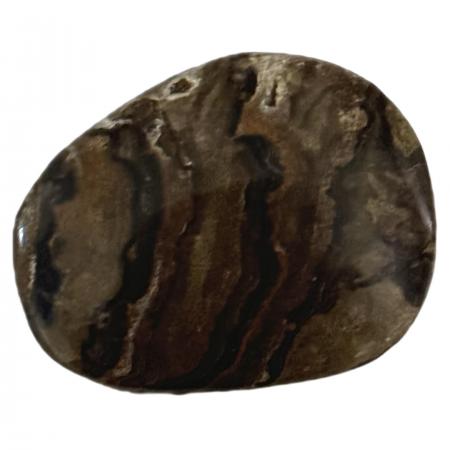 Polished Stromatolite Freeform Pieces 2 inches B