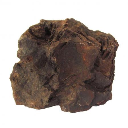 Stromatolite From Morocco R-16