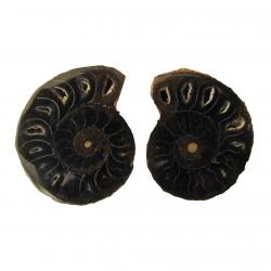 Ammonite Split Pair 3-4 cm