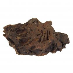 Stromatolite From Morocco R-13