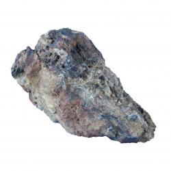 Stromatolite From Morocco