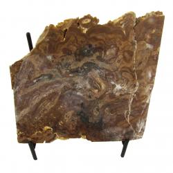 Stromatolite Slab Wyoming