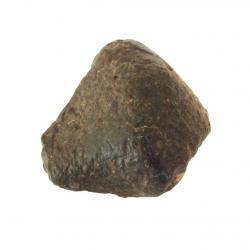 Meteorite Brecciated L Chondrite 869 NWA 1.5 inches