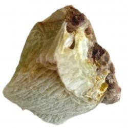 Prehnite Crystal, Bladed #10 Morocco